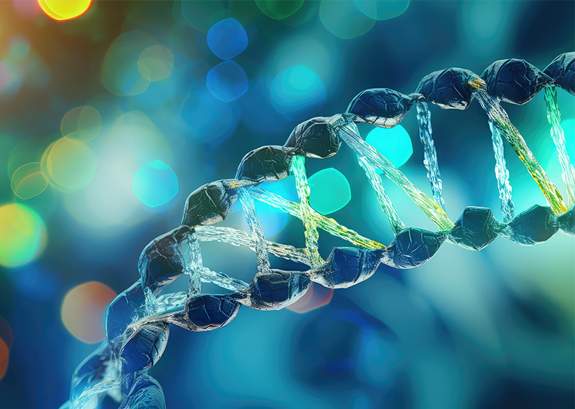 Gene Synthesis SCreening website, sequence DNA strand