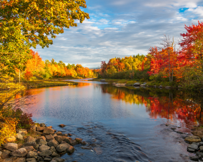 Fall Scenery 