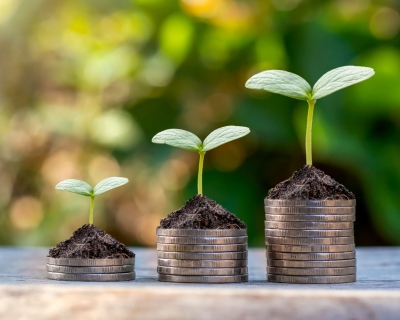 Three neat stacks of coins, each stack taller than the one before, with small plant sprouts growing from each