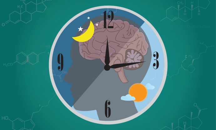 Circadian rhythm