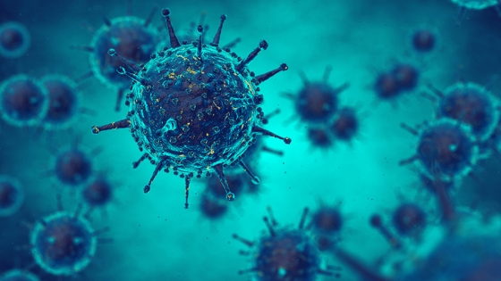 Emerging infectious disease and epidemics, Viruses in infected organism , viral disease epidemic, by nobeastsofierce