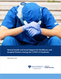 Mental Health and Social Support for Healthcare and Hospital Workers During the COVID-19 Pandemic