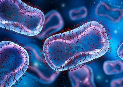 Medical illustration of Monkeypox virus - 3D illustration By peterschreiber.media